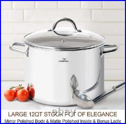12 Quart Large Stock Pot with Glass Lid