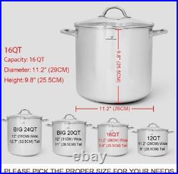 16 Quart Healthy Stainless Steel Stock Pot with Glass Lid