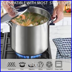 18/10 Stainless Steel Stockpot 12-Quart, Classic Deep Cooking Pot Canning Coo