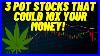 3_Pot_Stocks_That_Could_10x_Your_Money_In_2021_01_vu