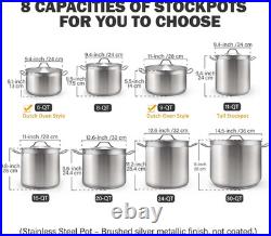 9 Quart Stainless Steel Dutch Oven Casserole with Lid Professional Quality