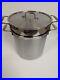 All_Clad_12QT_Stainless_Steel_Multi_Pot_Withlid_Perforated_Insert_Steamer_01_nbd