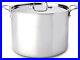 All_Clad_12_QT_Stainless_Steel_Stockpot_Lid_01_ouxq