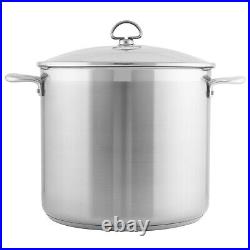 Chantal Induction 21 Steel 12 qt. Stock Pot with Glass Lid