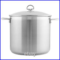 Chantal Induction 21 Steel 12 qt. Stock Pot with Glass Lid