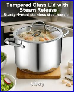 Cooks Standard 8-Quart Stainless Steel Stockpot Glass Lid Large Dutch Oven