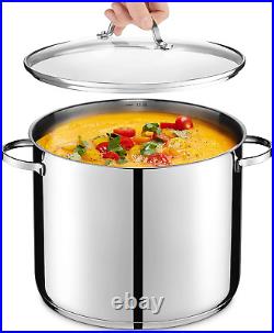 GOURMEX 14.8 Qt Induction Stockpot Stainless Steel Pot with Glass Cookware Lid