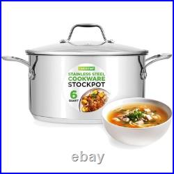 Large Stainless Steel Induction Pot with Ergonomic Handles