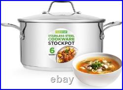 Large Stainless Steel Induction Pot with Ergonomic Handles