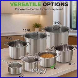 Large Stainless Steel Induction Pot with Ergonomic Handles