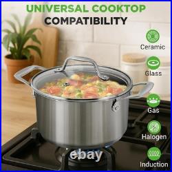 Large Stainless Steel Induction Pot with Ergonomic Handles