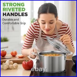Large Stainless Steel Induction Pot with Ergonomic Handles