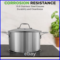 Large Stainless Steel Induction Pot with Ergonomic Handles