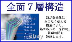 Miyazaki Mfg. GEO Pot-au-Feu Pot 20cm Compatible for IH Cooker -Japan Made