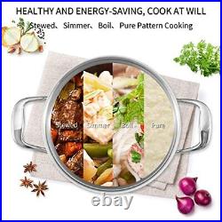 NANFANG BROTHERS Stainless Steel Stock Pot with Lid 10 Quart Soup Pot Cooking