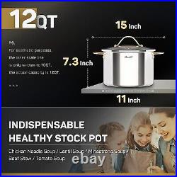 Professional 12 Quart Stock Pot Stainless Steel Copper Handle Glass Lid