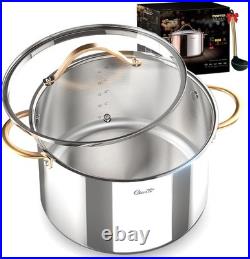 Stock Pot 12 Quart, 18/10 Tri-Ply Stainless Steel All Clad Stock Pot with Lid, S