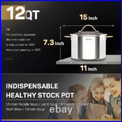Stock Pot 12 Quart, 18/10 Tri-Ply Stainless Steel All Clad Stock Pot with Lid, S