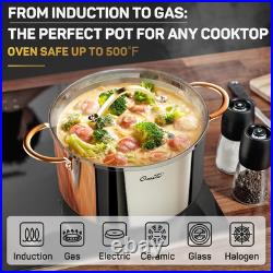 Stock Pot 12 Quart, 18/10 Tri-Ply Stainless Steel All Clad Stock Pot with Lid, S