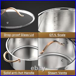 Stock Pot 12 Quart, 18/10 Tri-Ply Stainless Steel All Clad Stock Pot with Lid, S