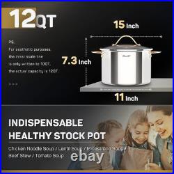 Stock Pot 12 Quart, 18/10 Tri-Ply Stainless Steel All Clad Stock Pot with Lid, S