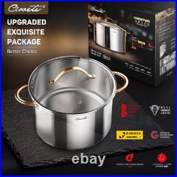 Stock Pot 12 Quart, 18/10 Tri-Ply Stainless Steel All Clad Stock Pot with Lid, S