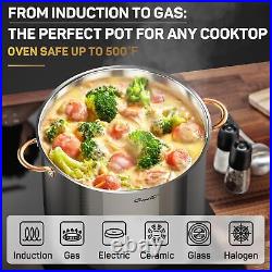 Stock Pot 20 Quart, 3 Ply Stainless Steel Stock Pot with Lid, 20 Quart Soup P