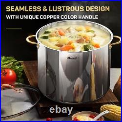 Stock Pot 20 Quart, 3 Ply Stainless Steel Stock Pot with Lid, 20 Quart Soup P