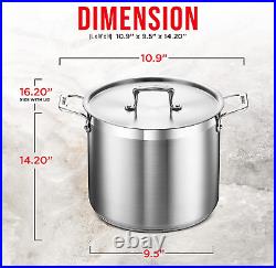 Stockpot 12 Quart Brushed Stainless Steel Heavy Duty Induction Pot with Li