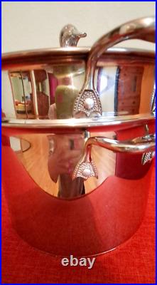 Vintage SABATIER De La Cuisine Pasta Pot with Strainer Duck Mallard Stainless