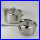 Vintage_SABATIER_De_La_Cuisine_Stock_Pot_Sauce_Pan_Duck_Mallard_Stainless_01_cy