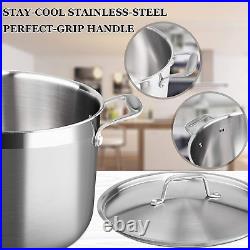 Whole-Clad Tri-Ply Stainless Steel Stockpot with Lid, 8 Quart, Kitchen Induction