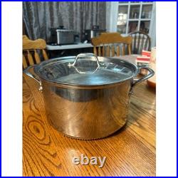 Williams Sonoma Stainless Steel Stock Pot Dutch Oven Rapid Boil With Lid